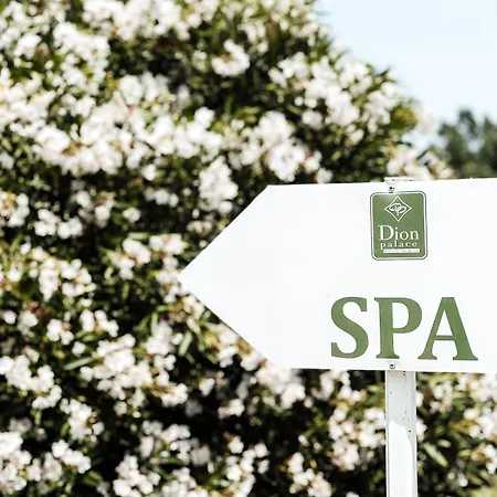 Dion Palace And Hotell 5*