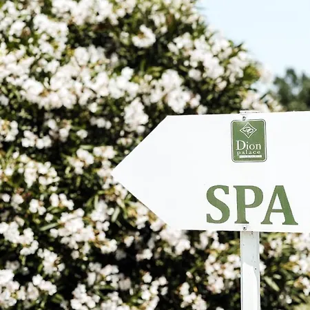 Dion Palace And Hotel 5*