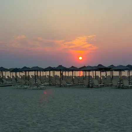 Dion Palace And リトコロン