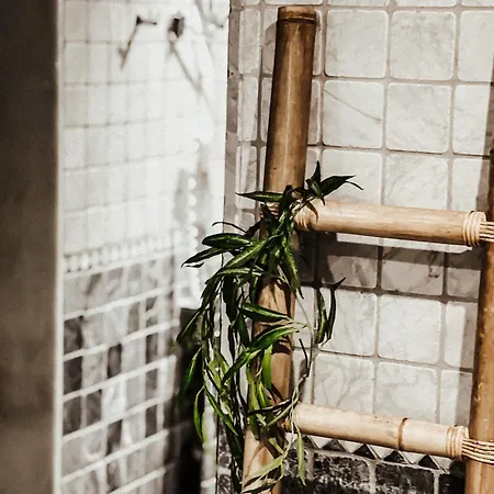 Dion Palace And ホテル