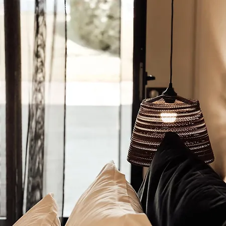 Dion Palace And リトコロン